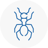 Ant Removals In Southwell