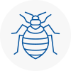 Bed Bug Extermination In Southwell