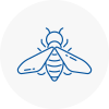 Bee Nest Removal Southwell