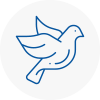 Bird Prevention Southwell
