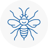 Southwell Hornet Nest Removals