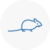 Mice Exterminators In Southwell