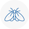 Moth Control Specialists In Southwell