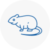 Rat Control Southwell
