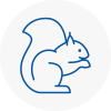 Southwell Rodent Removals