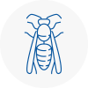 Southwell Wasp Nest Removal